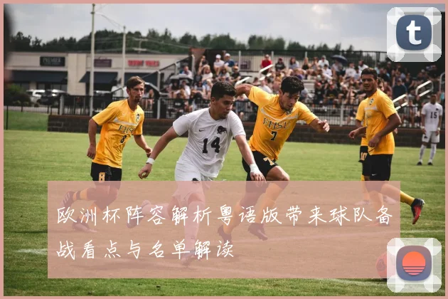 欧洲杯阵容解析粤语版带来球队备战看点与名单解读